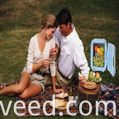 6L Mini Energy Bever Bere Beer Fridge Freezer su misura in vendita